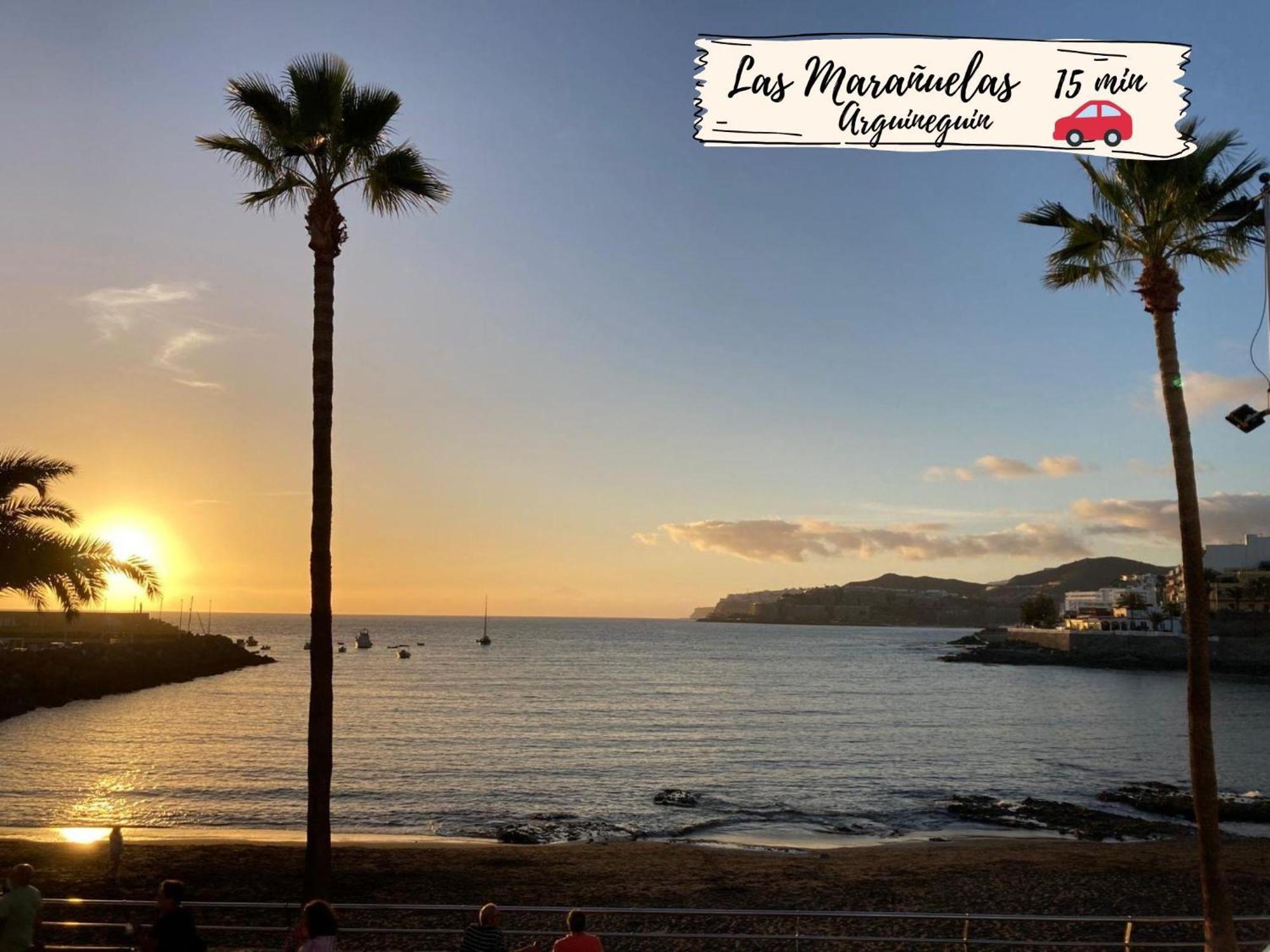 Albaricoques 12 By Villagrancanaria